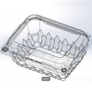 Hộp đựng hoa quả P500CX