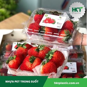 Hộp đựng hoa quả P500CX