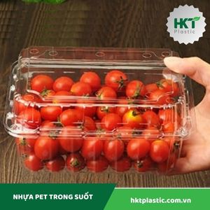 Hộp đựng hoa quả P500C