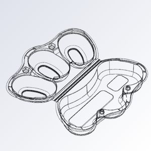 Hộp đựng kiwi P03