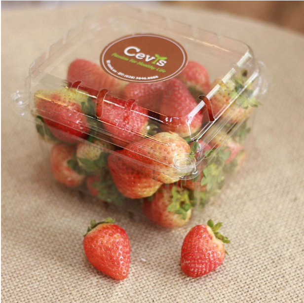 Cách chọn mua hộp nhựa đựng hoa quả chất lượng